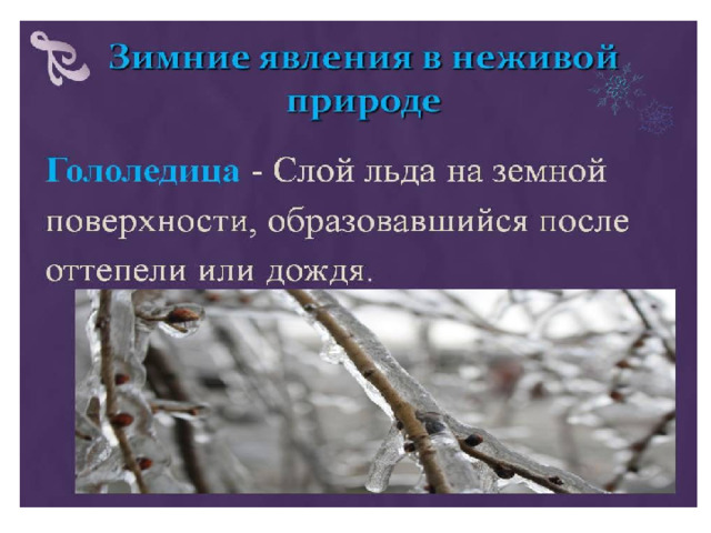 Список явлений в неживой природе. Зимние вления в не живой природе. Зимние явления в неживой природе. Йзимние евление вне жывойприроде. Природные явления зимой в неживой природе.