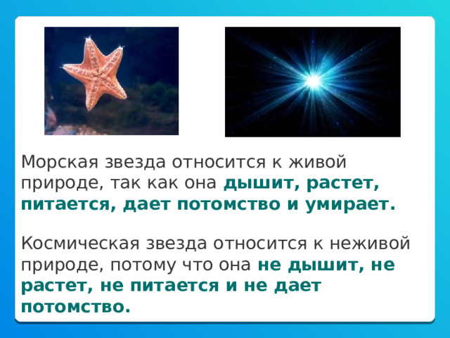 Морская звезда относится к живой природе, так как она дышит, растет, питается, дает потомство и умирает. Космическая звезда относится к неживой природе, потому что она не дышит, не растет, не питается и не дает потомство. 