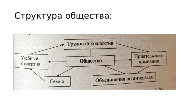 Структура общества: 