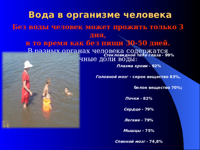 Вода в организме человека Без воды человек может прожить только 3 дня,  в то время как без пищи 30-50 дней. В разных органах человека содержатся различные доли воды: Стекловидное тело глаза - 99% Плазма крови - 92% Головной мозг – серое вещество 83%,    белое вещество 70%; Почки - 82% Сердце - 79% Легкие - 79% Мышцы - 75% Спинной мозг - 74,8% Кожа - 72% Печень -70% Скелет - 46% Зубная эмаль - 0,2% 