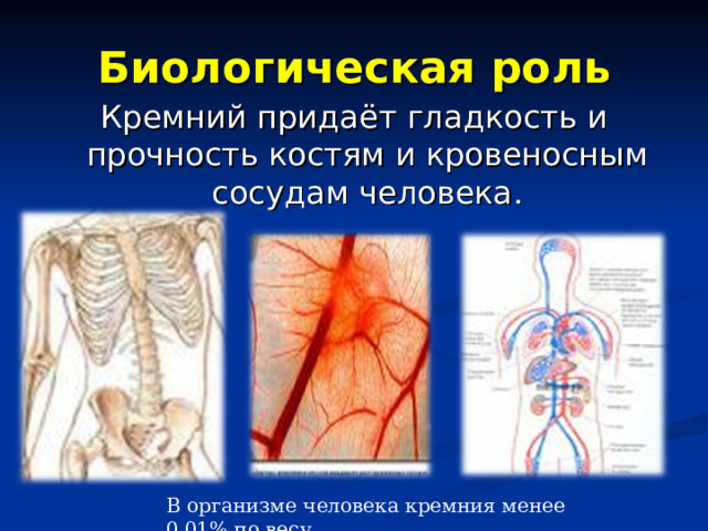 Биологическая роль Кремний придаёт гладкость и прочность костям и кровеносным сосудам человека . В организме человека кремния менее 0,01% по весу. 