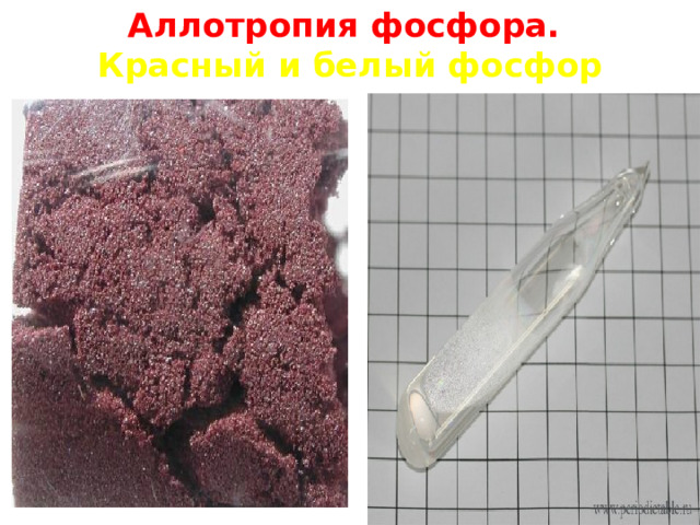 Аллотропия фосфора.  Красный и белый фосфор 