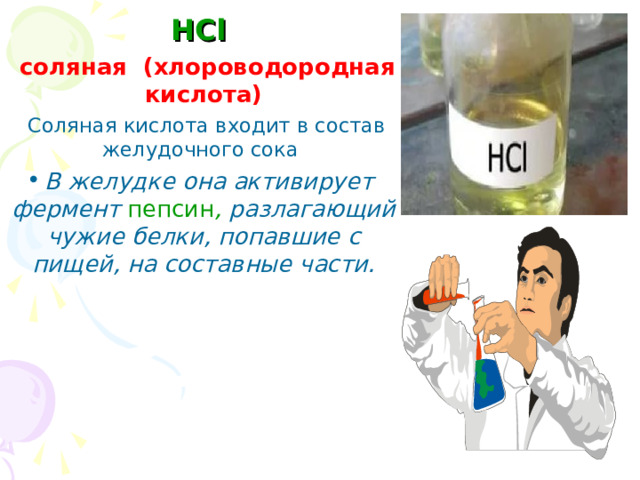 HCl   соляная (хлороводородная кислота)  Соляная кислота входит в состав желудочного сока В желудке она активирует фермент пепсин , разлагающий чужие белки, попавшие с пищей, на составные части. 