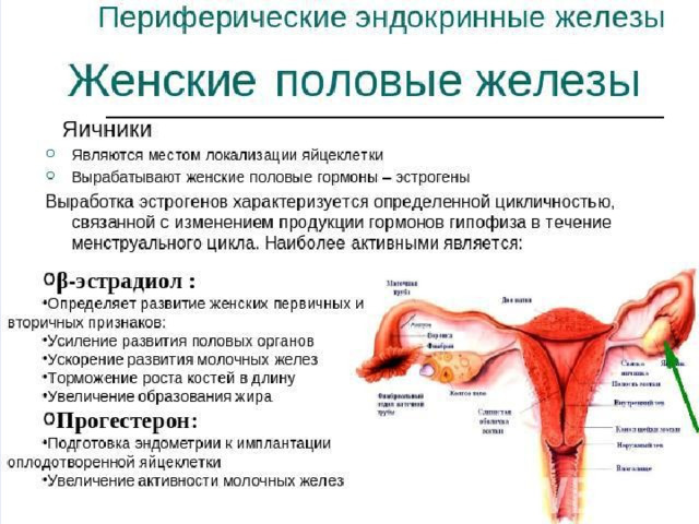 Презентация на тему гормоны по химии 10 класс