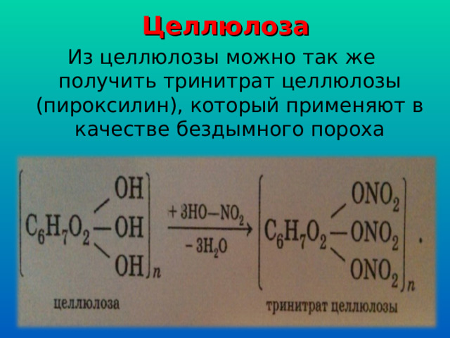 Целлюлоза Из целлюлозы можно так же получить тринитрат целлюлозы (пироксилин), который применяют в качестве бездымного пороха 