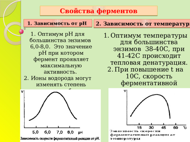 Свойства ферментов 2. Зависимость от температуры 1. Зависимость от рН Оптимум рН для большинства энзимов 6,0-8,0. Это значение рН при котором фермент проявляет максимальную активность. Ионы водорода могут изменять степень ионизации субстрата, продукта и фермента. Оптимум температуры для большинства энзимов 38-40С, при 41-42С происходит тепловая денатурация. При повышение t на 10С, скорость ферментативной реакции увеличивается в 2 раза. 