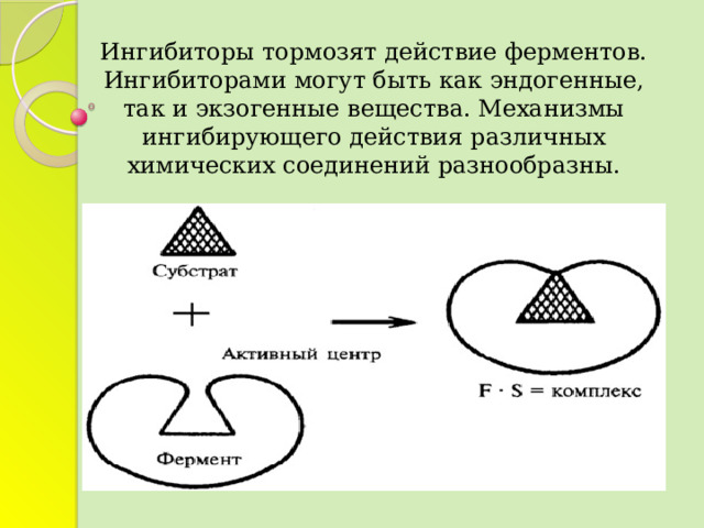 Ингибиторы тормозят действие ферментов. Ингибиторами могут быть как эндогенные, так и экзогенные вещества. Механизмы ингибирующего действия различных химических соединений разнообразны. 