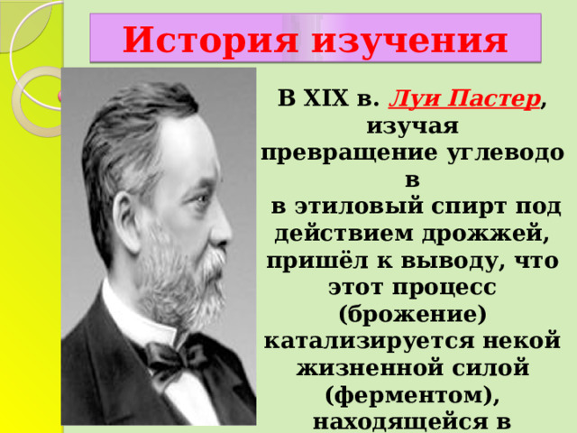 История изучения В XIX в.  Луи Пастер , изучая превращение углеводов   в этиловый спирт под действием дрожжей, пришёл к выводу, что этот процесс (брожение) катализируется некой жизненной силой (ферментом), находящейся в дрожжевых клетках, причём он считал, что эти «силы» неотделимы от структуры живой клетки дрожжей. 