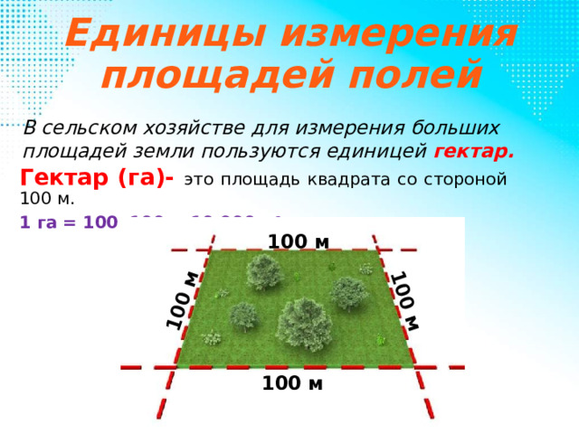 100 м 100 м Единицы измерения площадей полей В сельском хозяйстве для измерения больших площадей земли пользуются единицей гектар. Гектар (га)- это площадь квадрата со стороной 100 м. 1 га = 100•100 = 10 000 м 2 100 м 100 м 