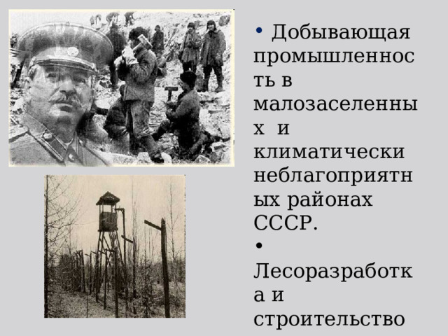  Добывающая промышленность в малозаселенных и климатически неблагоприятных районах СССР.  Лесоразработка и строительство ирригационных сооружений.  Строительство каналов. 
