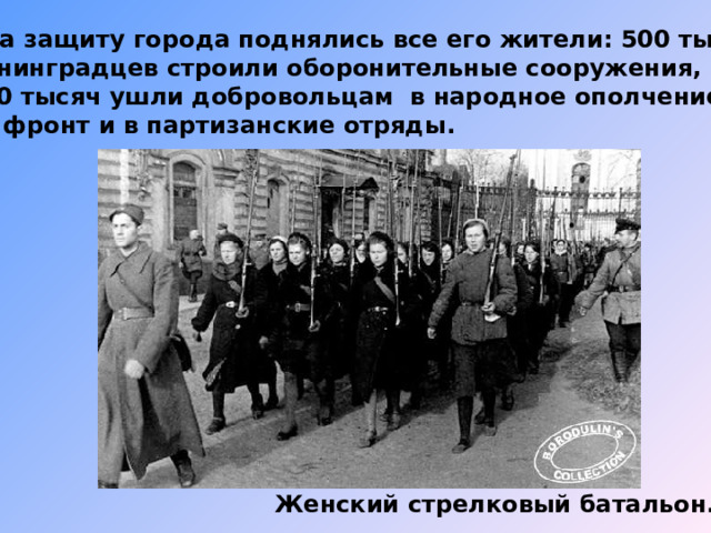  На защиту города поднялись все его жители: 500 тысяч ленинградцев строили оборонительные сооружения, 300 тысяч ушли добровольцам в народное ополчение, на фронт и в партизанские отряды. Женский стрелковый батальон. 