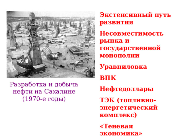 Экстенсивный путь развития Несовместимость рынка и государственной монополии Уравниловка ВПК Нефтедоллары ТЭК (топливно-энергетический комплекс) «Теневая экономика» Стагнация Разработка и добыча нефти на Сахалине (1970-е годы) 