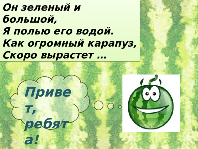 Он зеленый и большой, Я полью его водой. Как огромный карапуз, Скоро вырастет … Привет, ребята! 