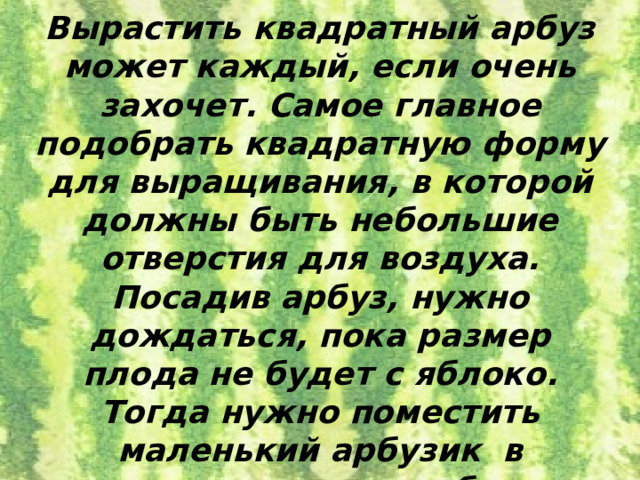 Вырастить квадратный арбуз может каждый, если очень захочет. Самое главное подобрать квадратную форму для выращивания, в которой должны быть небольшие отверстия для воздуха. Посадив арбуз, нужно дождаться, пока размер плода не будет с яблоко. Тогда нужно поместить маленький арбузик в пластиковую коробку. Вырастая, плод заполнит квадратный контейнер и примет его форму. 