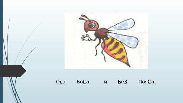 О с а   Бо С а    и   Б е З   Поя С а. 