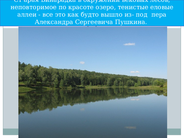 Ст  арая Бинарадка в окружении вековых лесов, неповторимое по красоте озеро, тенистые еловые аллеи - все это как будто вышло из- под пера Александра Сергеевича Пушкина. 