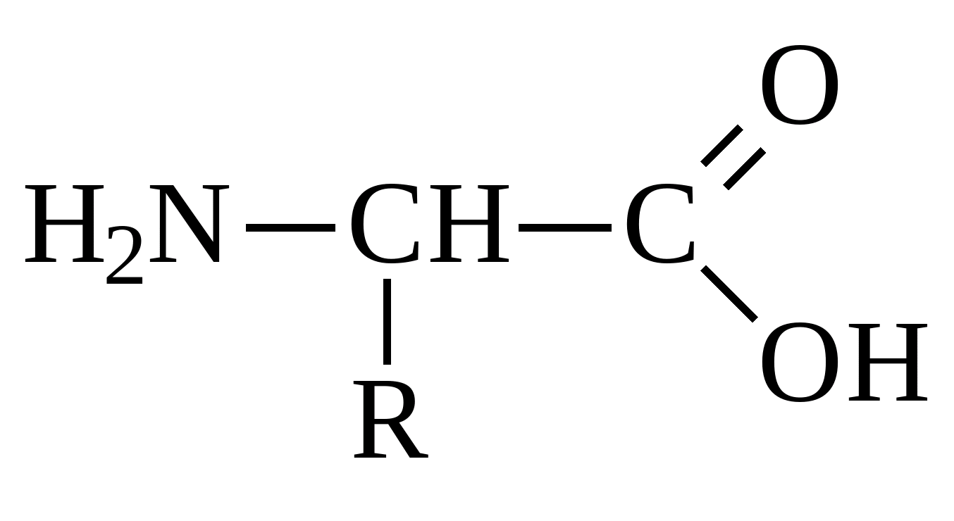 Nh2 2co2. Общая структурная формула аминокислот. Белки химия формула. Структурная формула аминокислот белка. Основная формула аминокислот.