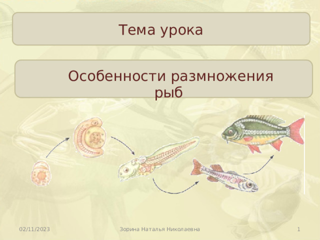 Тема урока Особенности размножения рыб    02/11/2023 Зорина Наталья Николаевна 