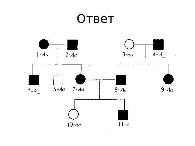 Ответ 