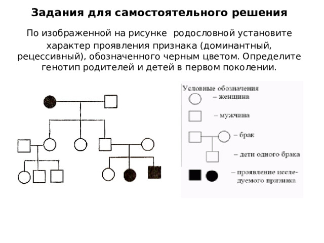 На изображенной рисунке родословной. Схема рисования родословной. Графическое изображение родословной пример. Рецессивный признак обозначение. Обозначение доминантного признака.