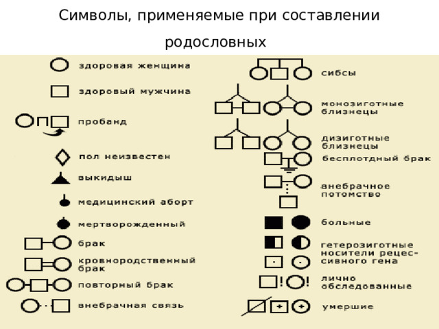 Символы, применяемые при составлении родословных  