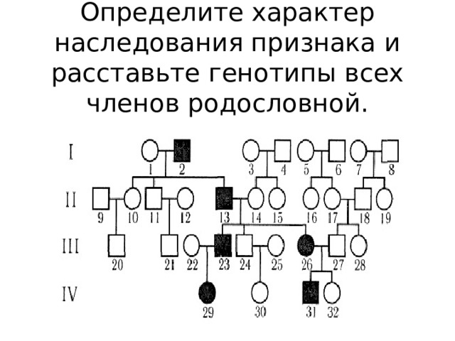 Определите характер наследования признака и расставьте генотипы всех членов родословной. 
