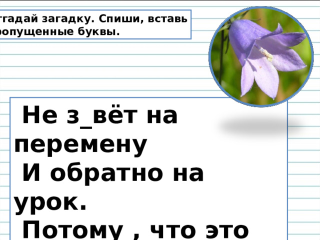 Отгадай загадку. Спиши, вставь пропущенные буквы.  Не з_вёт на перемену  И обратно на урок.  Потому , что это просто  Г_лубой л_сной цв_ток. 