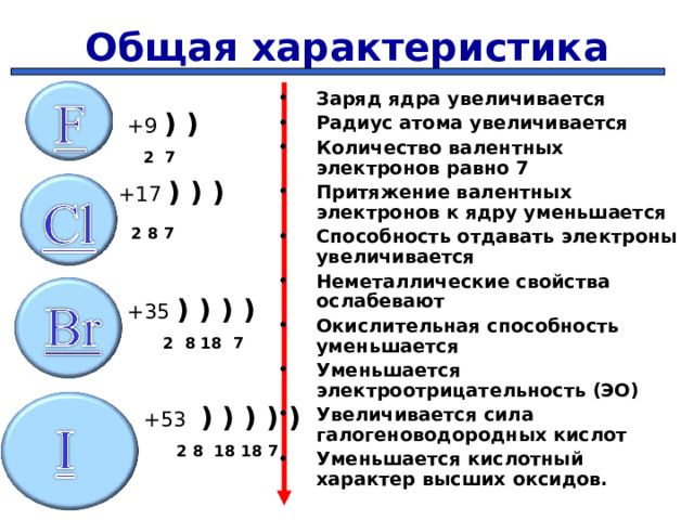 Общая характеристика Заряд ядра увеличивается Радиус атома увеличивается Количество валентных электронов равно 7 Притяжение валентных электронов к ядру уменьшается Способность отдавать электроны увеличивается Неметаллические свойства ослабевают Окислительная способность уменьшается Уменьшается электроотрицательность (ЭО) Увеличивается сила галогеноводородных кислот Уменьшается кислотный характер высших оксидов.    + 9  ) )       2 7  +17 ) ) )    2 8 7      + 35  ) ) ) )    2  8 18 7  + 53   ) ) ) ) )  2 8 18 18 7  