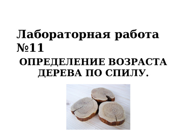 Лабораторная работа №11  ОПРЕДЕЛЕНИЕ ВОЗРАСТА ДЕРЕВА ПО СПИЛУ.   