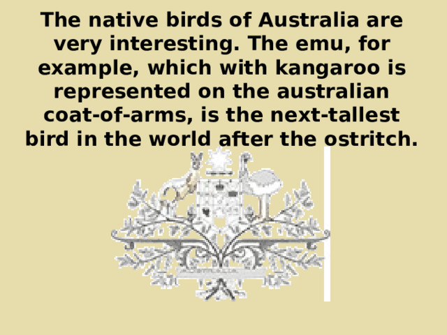 The native birds of Australia are very interesting. The emu, for example, which with kangaroo is represented on the australian coat-of-arms, is the next-tallest bird in the world after the ostritch. 