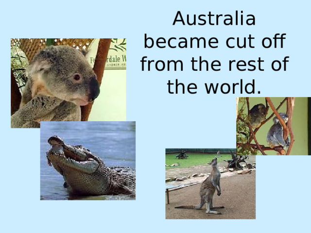 Australia became cut off from the rest of the world. 