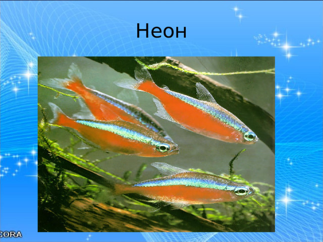 Неон 