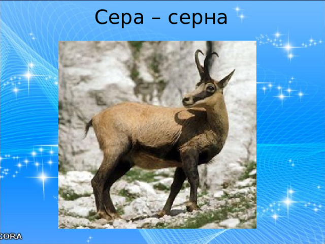 Сера – серна   
