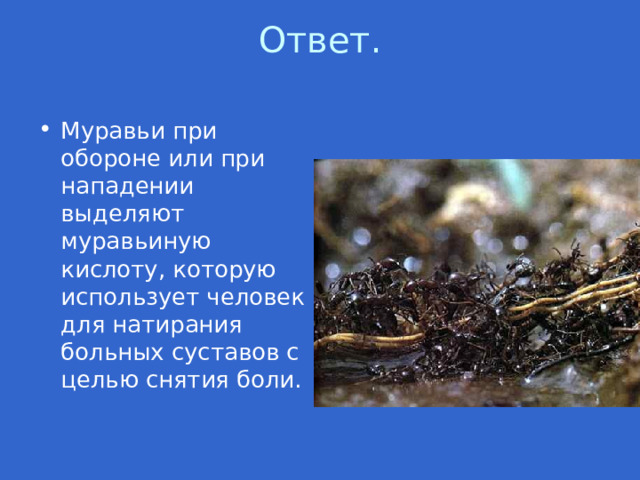 Ответ.   Муравьи при обороне или при нападении выделяют муравьиную кислоту, которую использует человек для натирания больных суставов с целью снятия боли. 