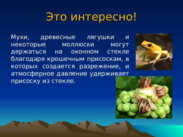 Предсказание погоды Знание атмосферного давления весьма важно для предсказывания погоды на ближайшие дни, так как изменение атмосферного давления связано с изменением погоды. Барометр — необходимый прибор при метеорологических наблюдениях. 