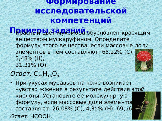 Формирование исследовательской компетенций Примеры заданий . Красный цвет мухомора обусловлен красящим веществом мускаруфином. Определите формулу этого вещества, если массовые доли элементов в нем составляют: 65,22% (С), 3,48% (Н),  31,31% (О). Ответ . С 25 Н 16 О 9 При укусах муравьев на коже возникает чувство жжения в результате действия этой кислоты. Установите ее молекулярную формулу, если массовые доли элементов в ней составляют: 26,08% (С), 4,35% (Н), 69,56% (О). Ответ . НСООН. 11 