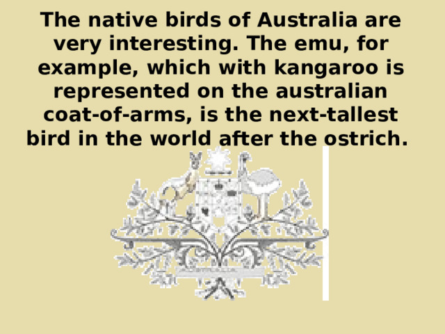 The native birds of Australia are very interesting. The emu, for example, which with kangaroo is represented on the australian coat-of-arms, is the next-tallest bird in the world after the ostrich. 