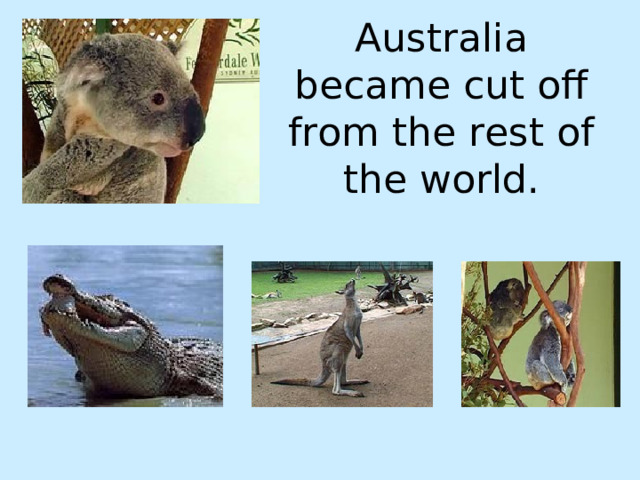 Australia became cut off from the rest of the world. 