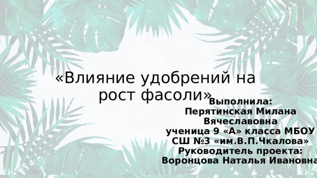 «Влияние удобрений на рост фасоли» Выполнила:  Перятинская Милана Вячеславовна  ученица 9 «А» класса МБОУ СШ №3 «им.В.П.Чкалова»  Руководитель проекта:  Воронцова Наталья Ивановна 