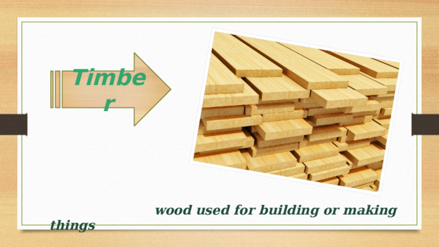 Timber    wood used for building or making things 