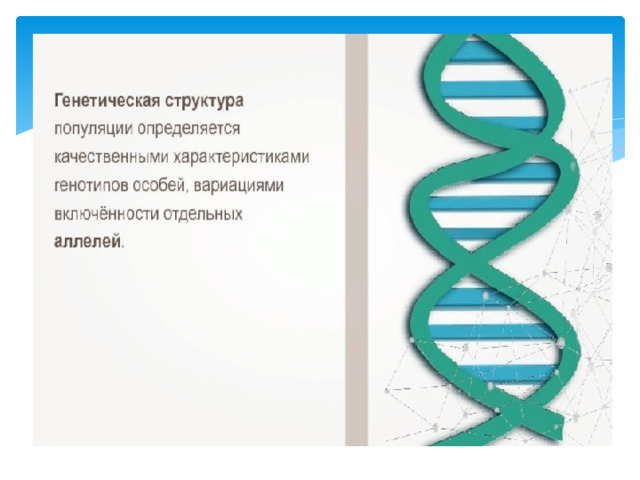 Структура популяций презентация 9 класс пасечник линия жизни