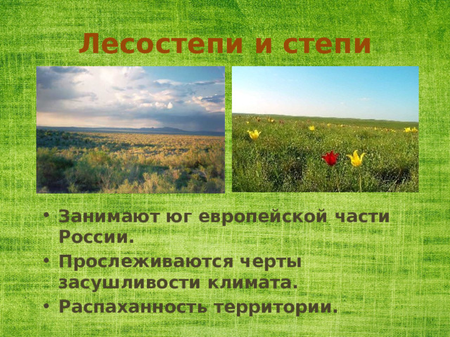 Лесостепи и степи Занимают юг европейской части России. Прослеживаются черты засушливости климата. Распаханность территории. 
