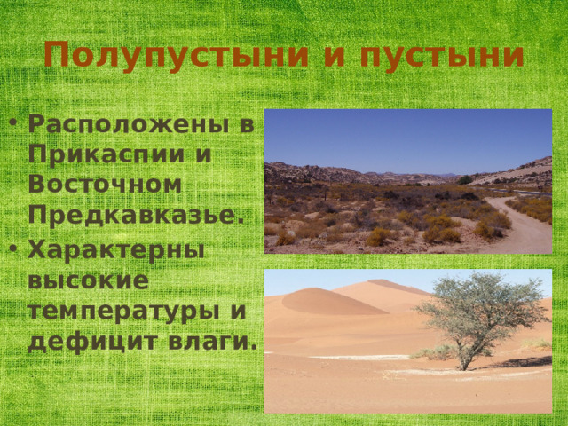Полупустыни и пустыни Расположены в Прикаспии и Восточном Предкавказье. Характерны высокие температуры и дефицит влаги. 