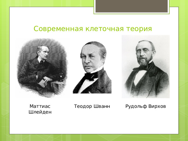 Современная клеточная теория Маттиас Шлейден Теодор Шванн Рудольф Вирхов 