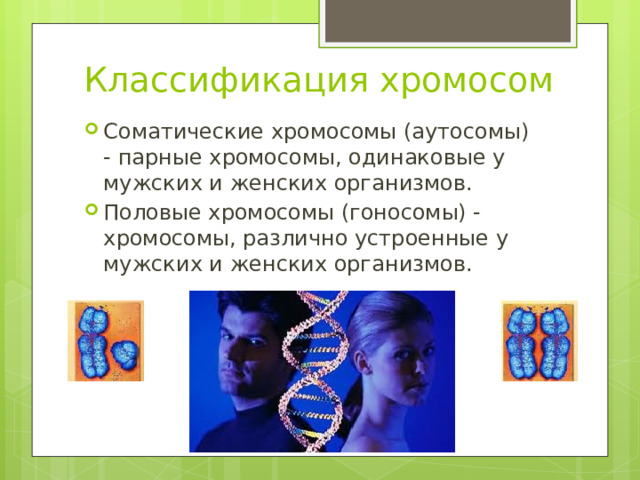 Классификация хромосом Соматические хромосомы (аутосомы) - парные хромосомы, одинаковые у мужских и женских организмов. Половые хромосомы (гоносомы) - хромосомы, различно устроенные у мужских и женских организмов. 
