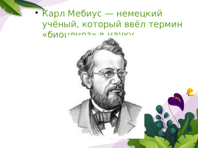 Карл Мебиус — немецкий учёный, который ввёл термин «биоценоз» в науку. 