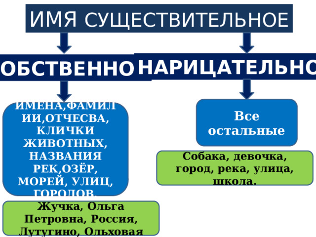 Имена собственные являются. Имя собственное и нарицательное правило с примерами. Нарицательное и собственное существительное это 2 класс. Переход имен собственных в нарицательные примеры. Имена собственные город собака.