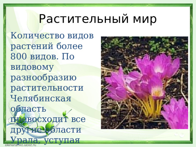 Проект разнообразие природы родного края челябинской области