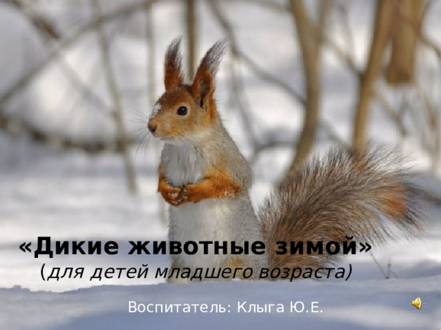 «Дикие животные зимой»  ( для детей младшего возраста) Воспитатель: Клыга Ю.Е.  