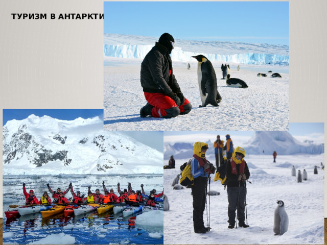 34 антарктида география 7 класс